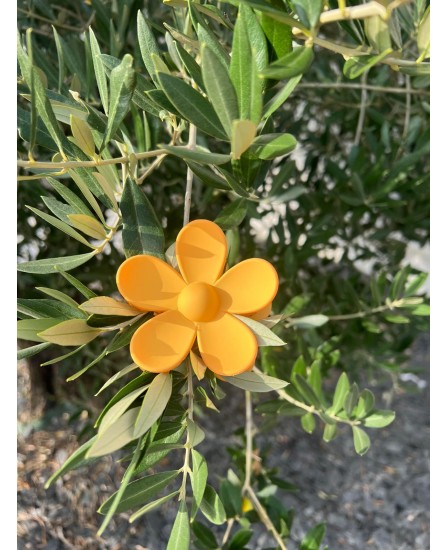 PINCE FLEUR - ABRICOT